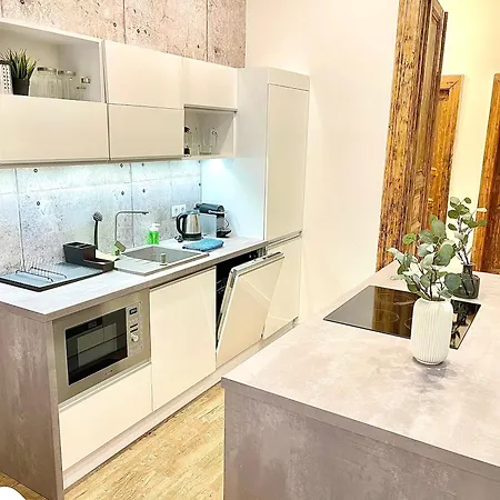 Romance Residency With Finn Sauna Daire Budapeşte
