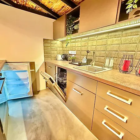 Romance Residency With Finn Sauna Apartman Budapest